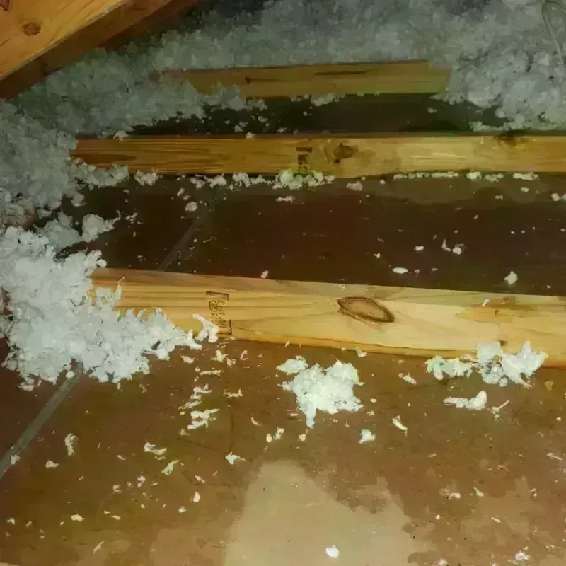 Attic Water Damage in Marshall, MI