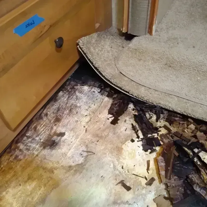 Best Wood Floor Water Damage Service in Marshall, MI